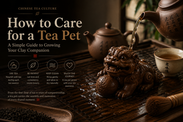How to Care for a Tea Pet: A Simple Guide to Growing Your Clay Companion