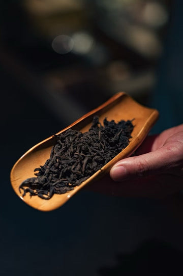 Old Bush Shui Xian vs Da Hong Pao | Key Differences Explained