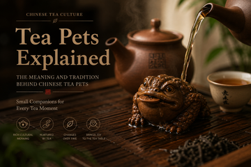 Tea Pets Explained: The Meaning and Tradition Behind Chinese Tea Pets