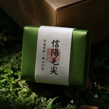 Authentic Xinyang Maojian Green Tea | Premium Henan Core Terroir-8.8oz/250g